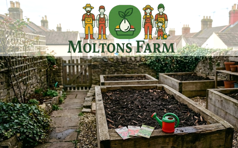 Moltons Farm